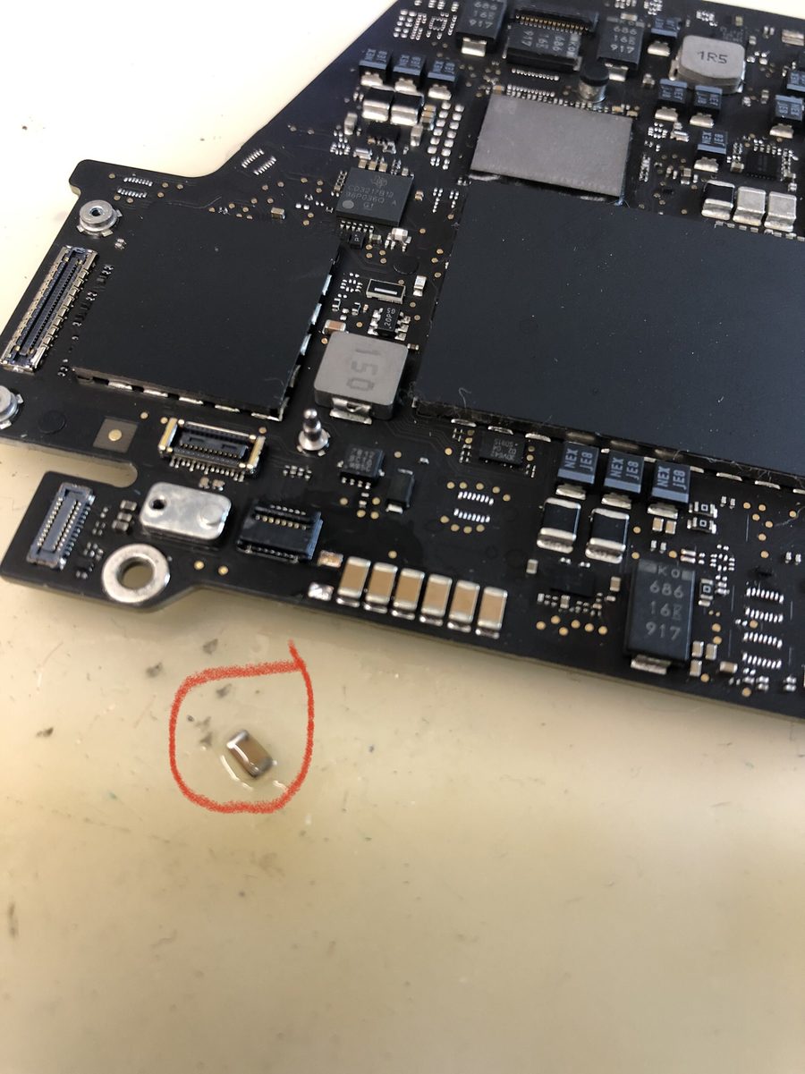 iPhone ou celular caiu na água: o que fazer nas primeiras horas